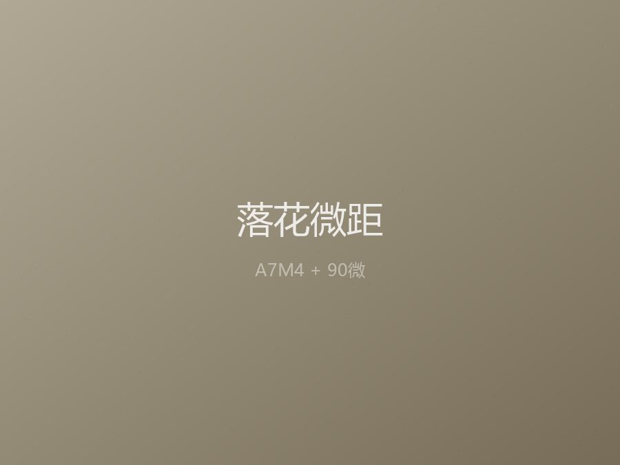 落花之美 · 微距组图